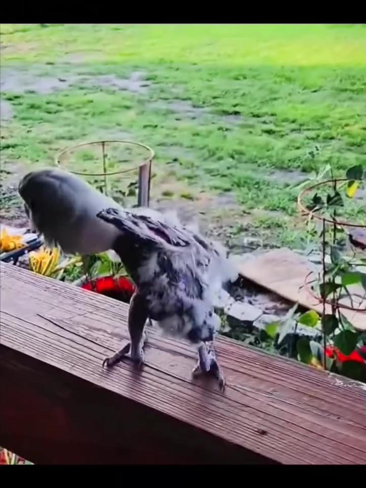 6. This Funny Dance Video Will Make Your Day - ojkqbsb