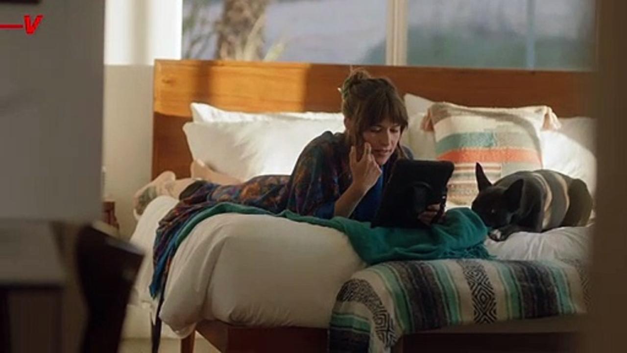 How to Help Your Dog During Fireworks - One News Page VIDEO