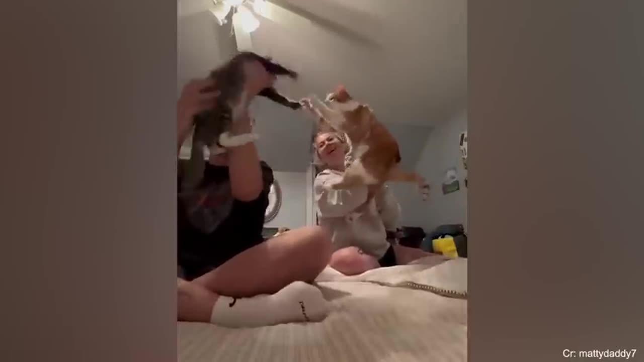 Cat funny with humans with lovely thinks