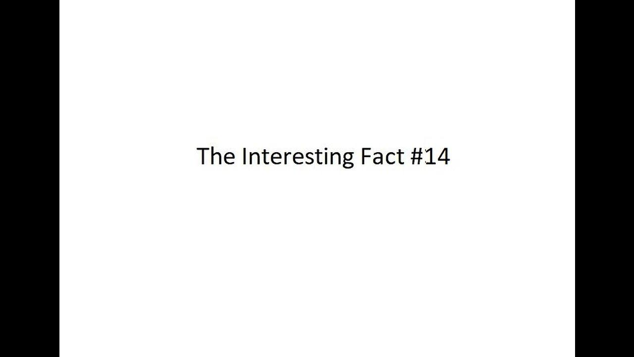 The Interesting Fact 14 One News Page VIDEO