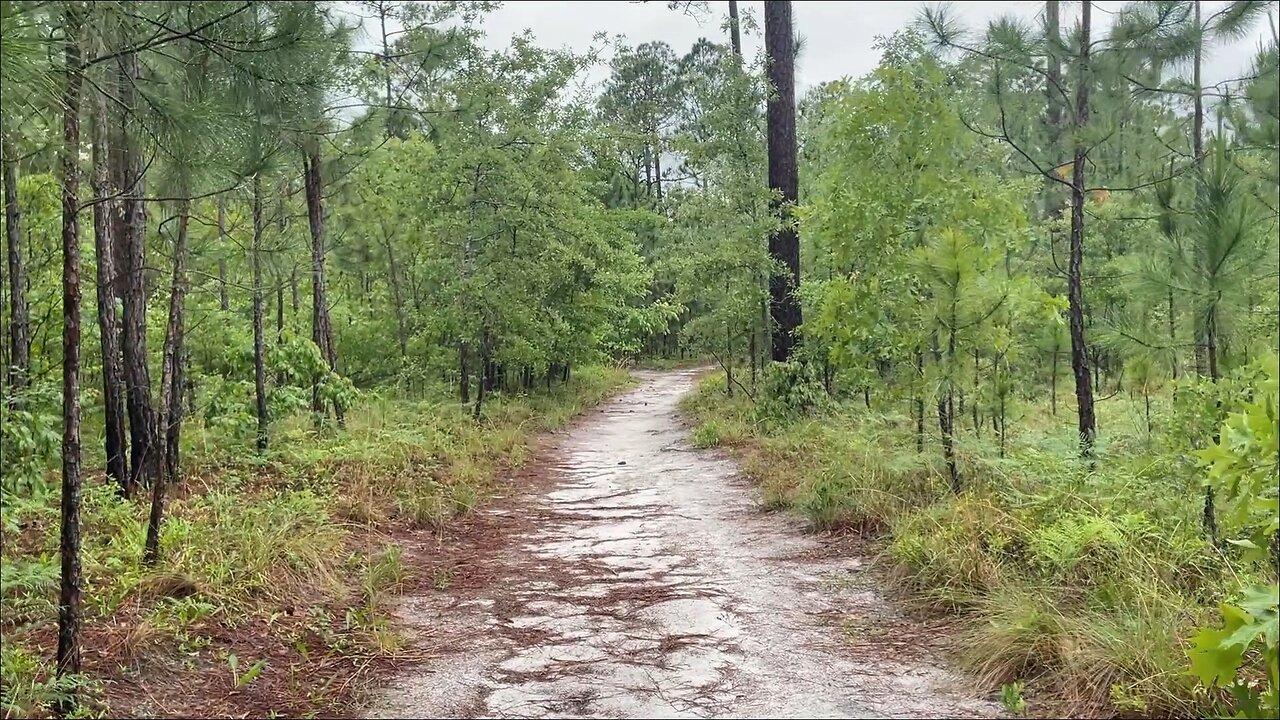 Smith Creek Park, Wilmington North Carolina - Alternate Wooded Trails 02