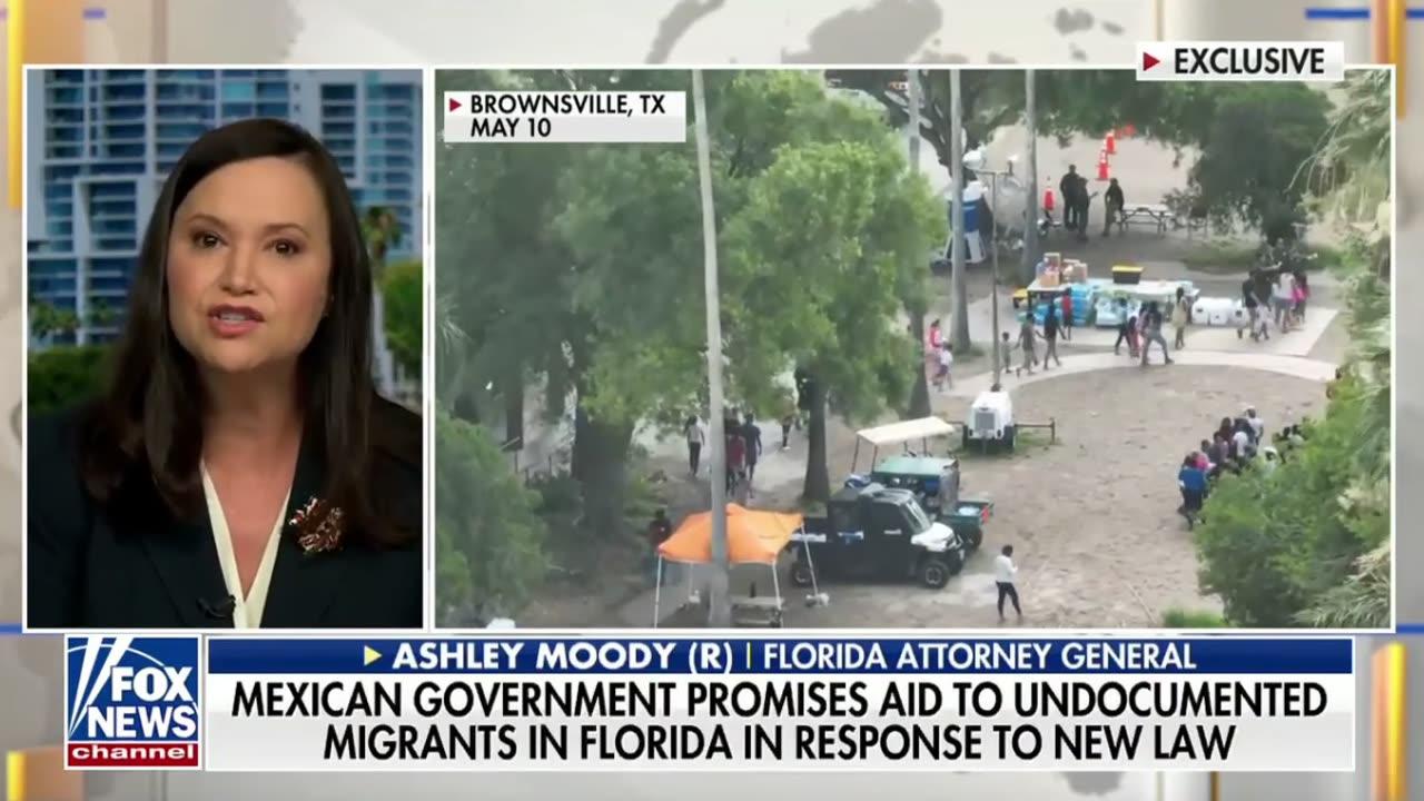 Florida AG Ashley Moody talks about a new immigration law