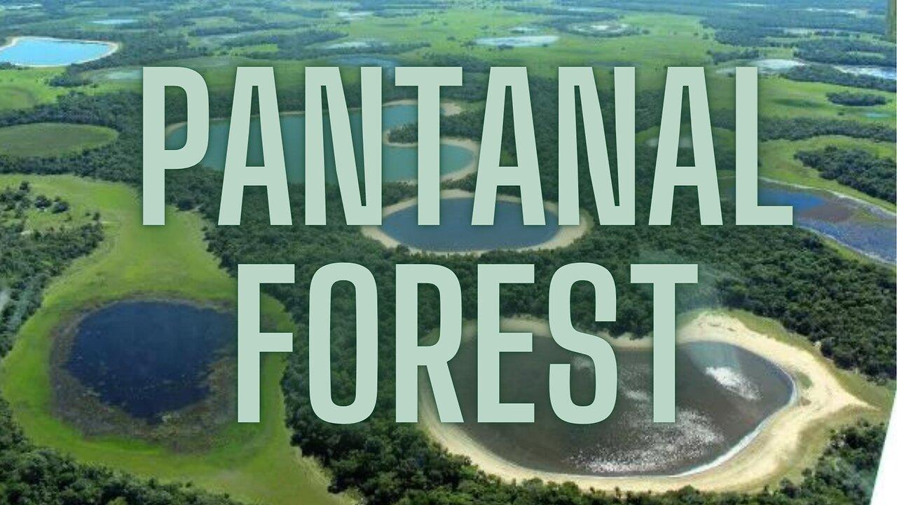 Secret Brazil Pantanal das Águas EP01