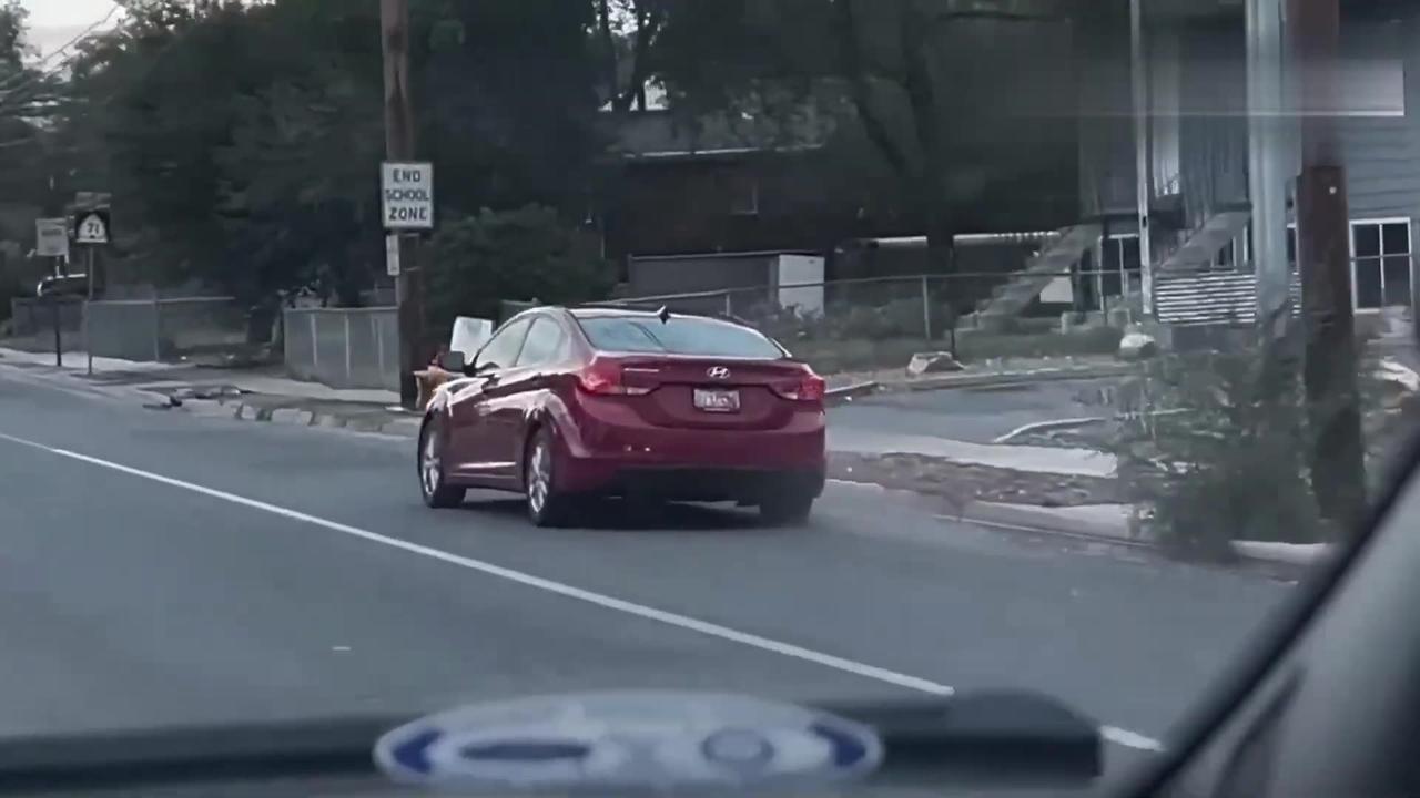 Deadly Car Crash Compilations 54 Latest Cars One News Page VIDEO