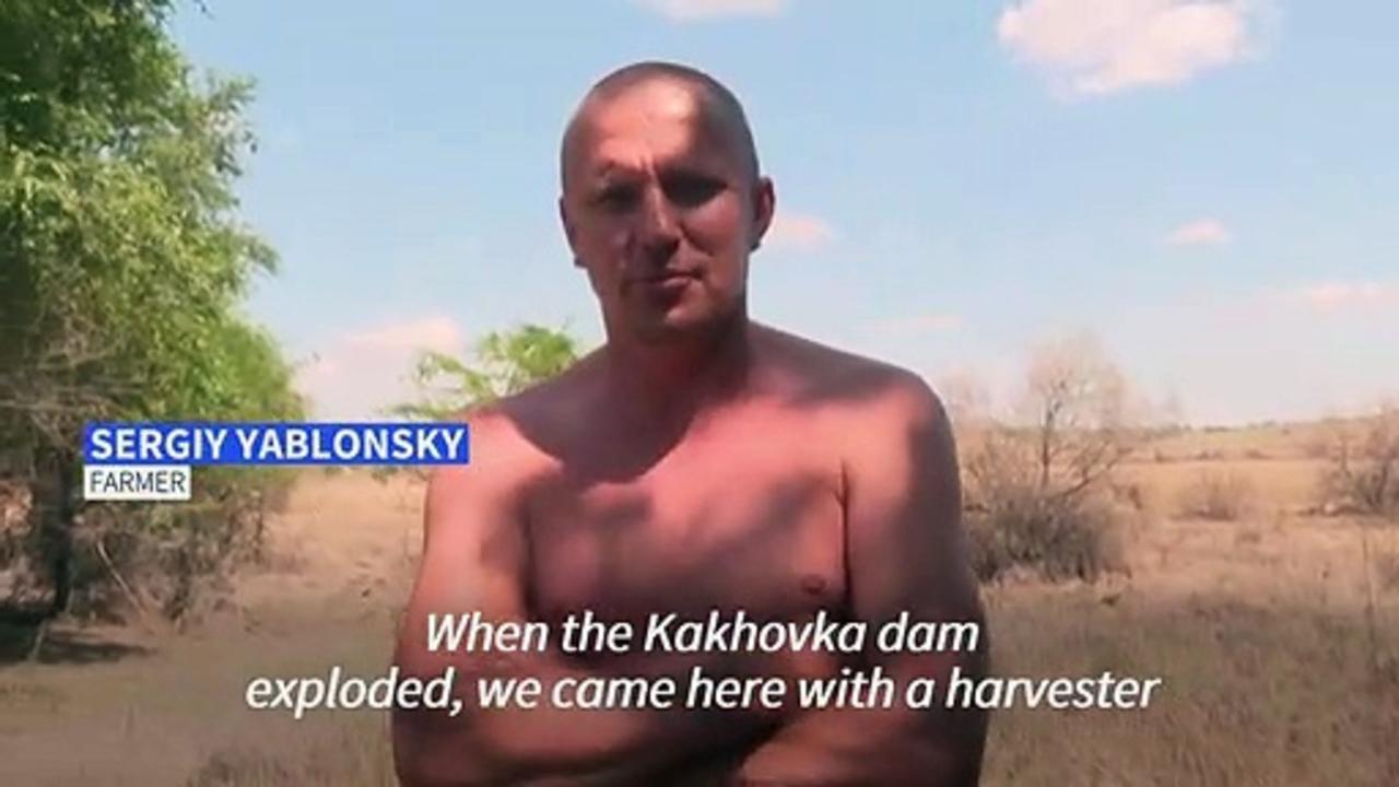 Ukrainian farmer continues harvesting despite devastation of Kakhovka dam collapse