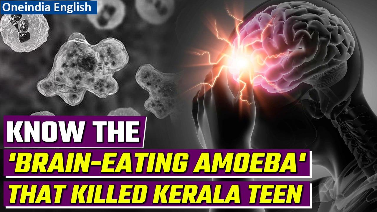 Kerala: Unique 'Brain-eating Amoeba' claims life of a 15-year old in Alappuzha | Oneindia News