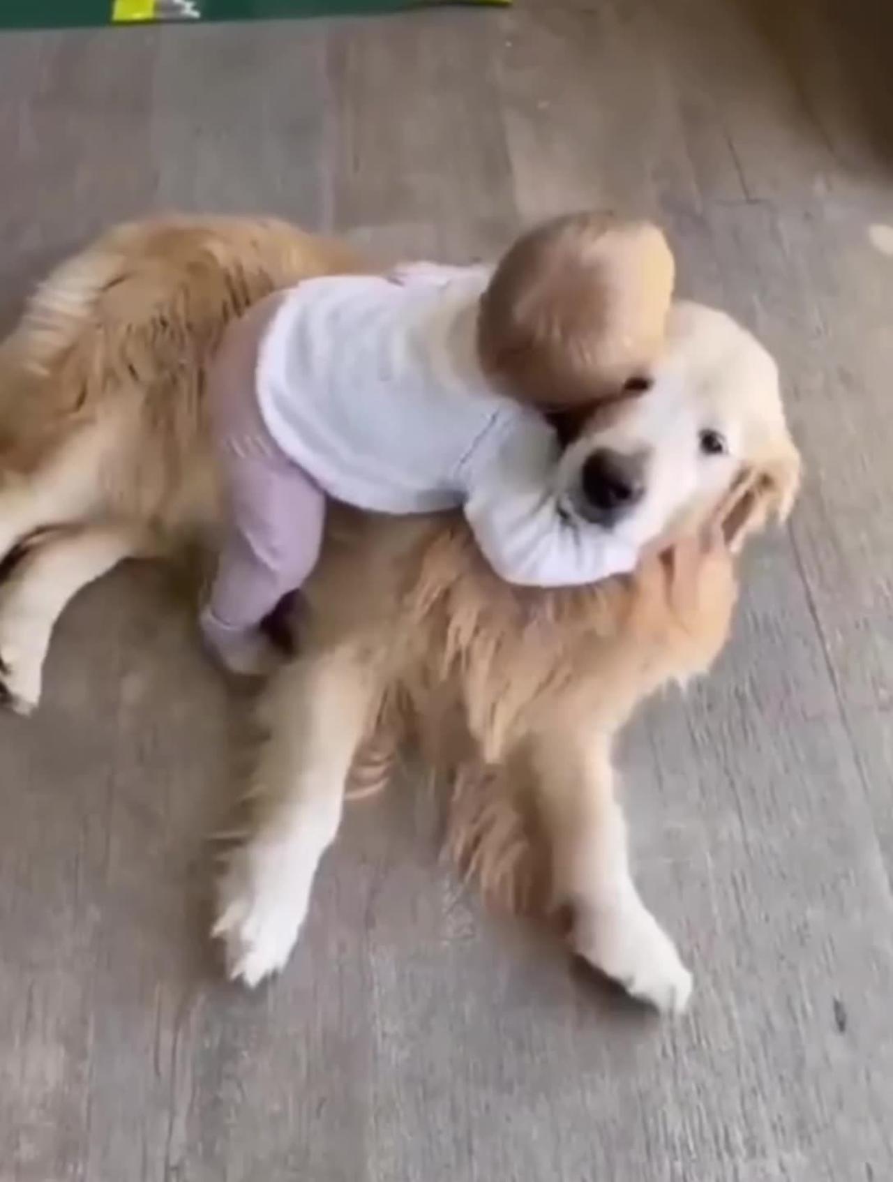 Baby Cute dog Animals funny video 2023 . short.viral.