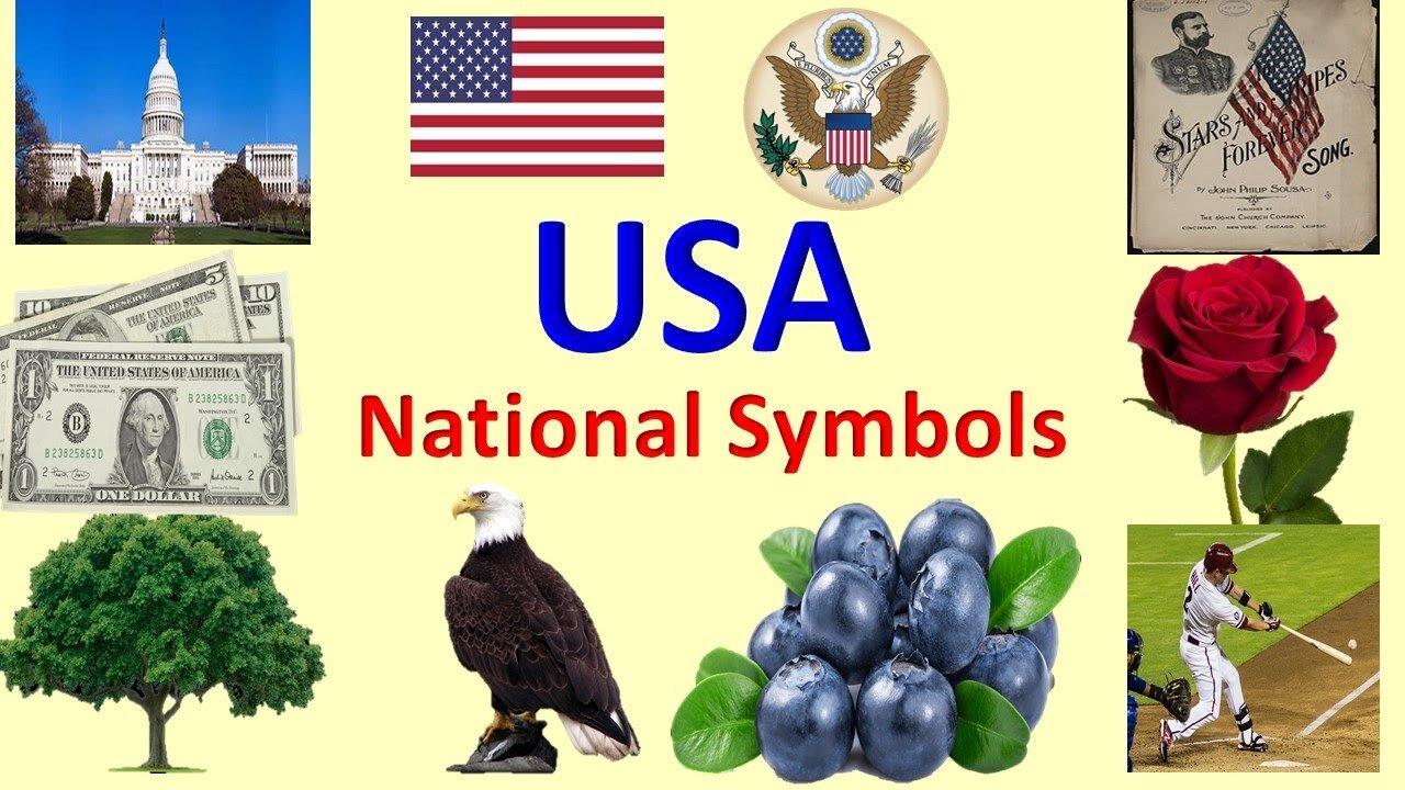 national-symbols-of-united-states-of-america-one-news-page-video