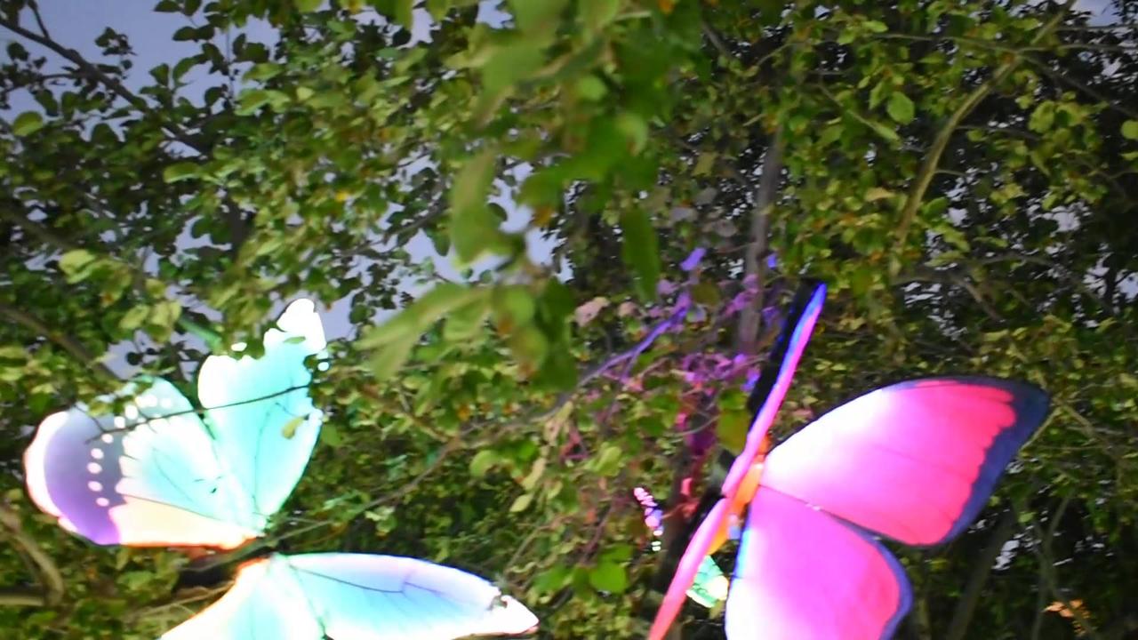 Dragon Lights Reno 2023 Lantern Festival One News Page VIDEO