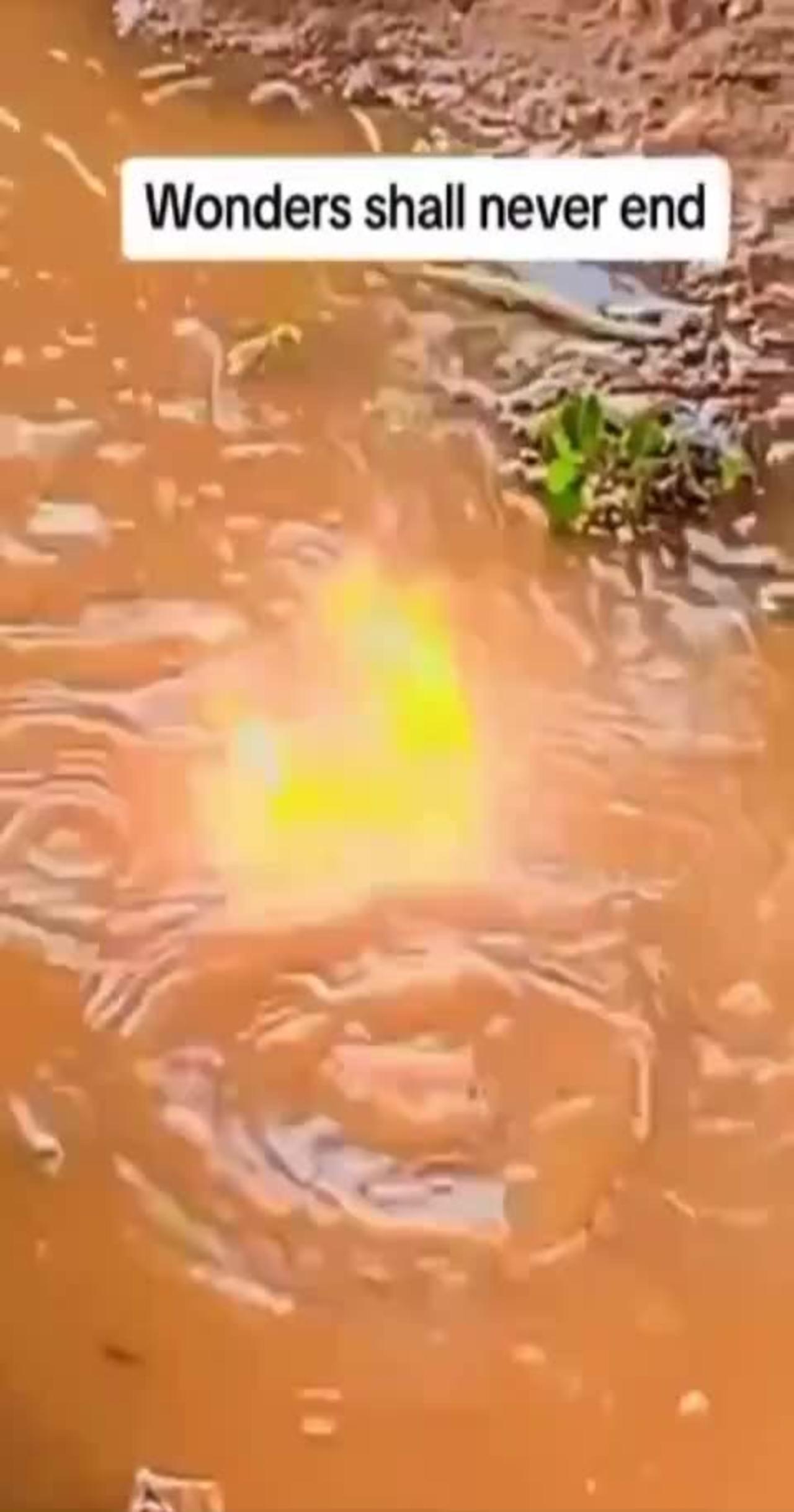 Miracle Unveiled: Flames Ignite from a Mysterious River
