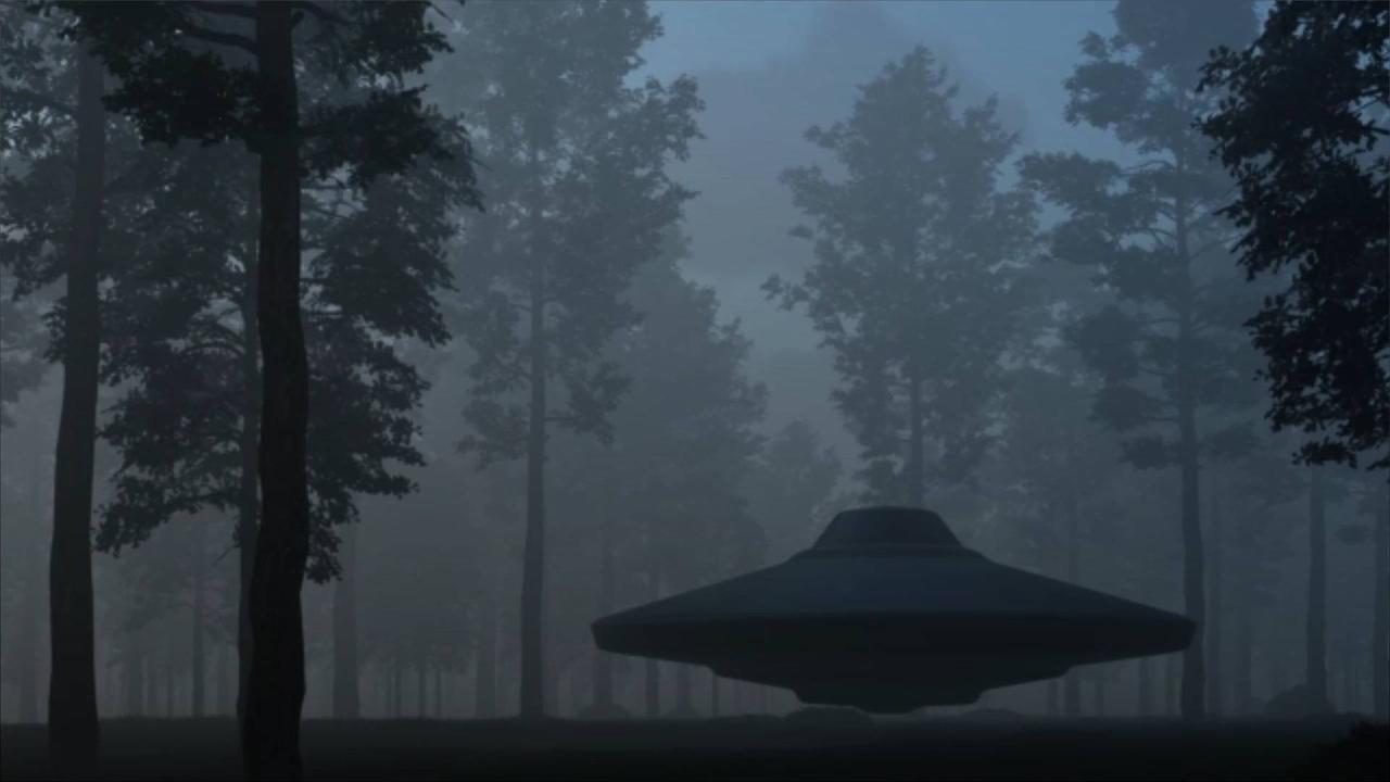 US House Opening Investigation Into Whistleblower's UFO Claims