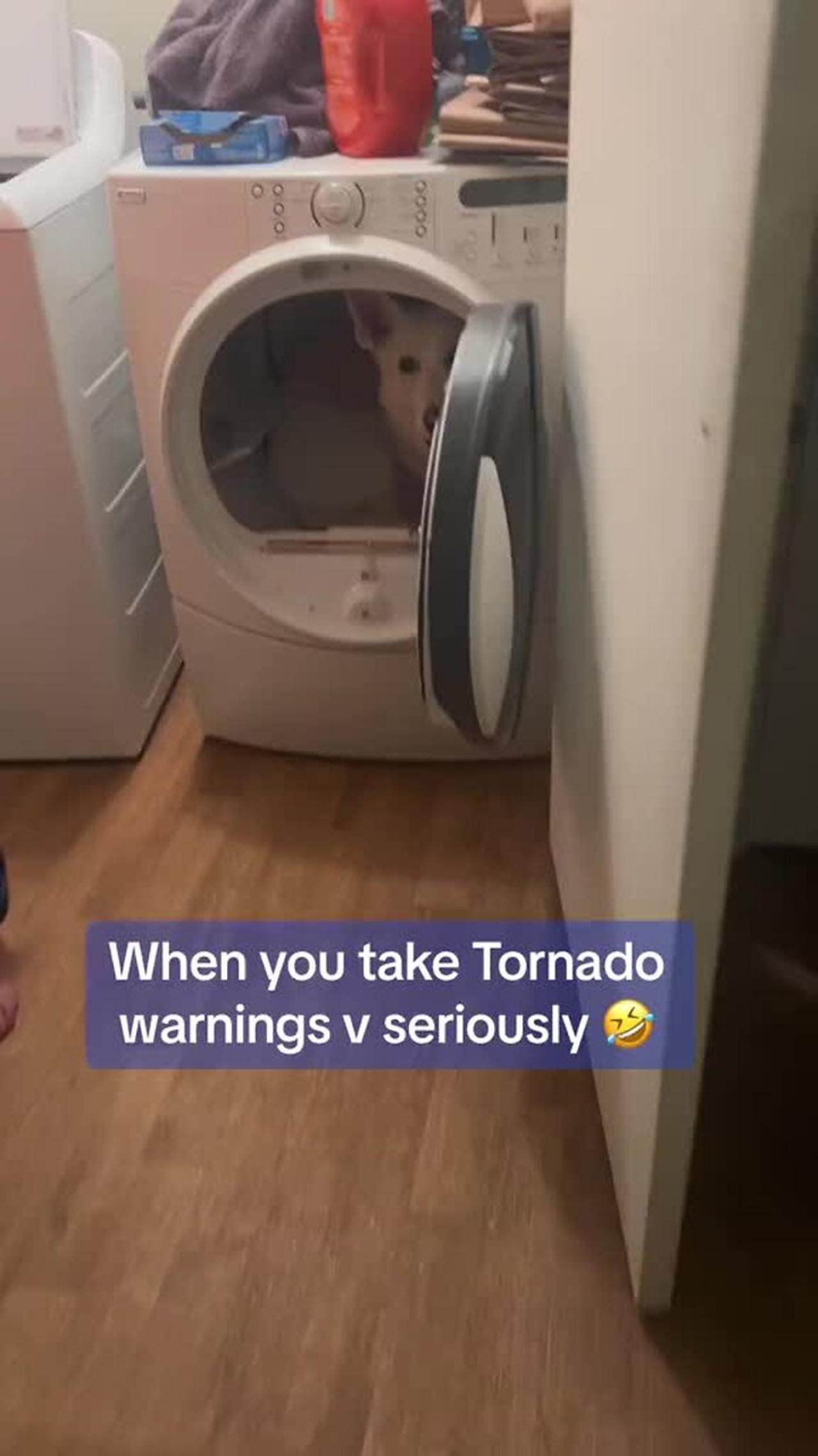 Dog is in dryer during Tornado storm!.mp4 One News Page VIDEO