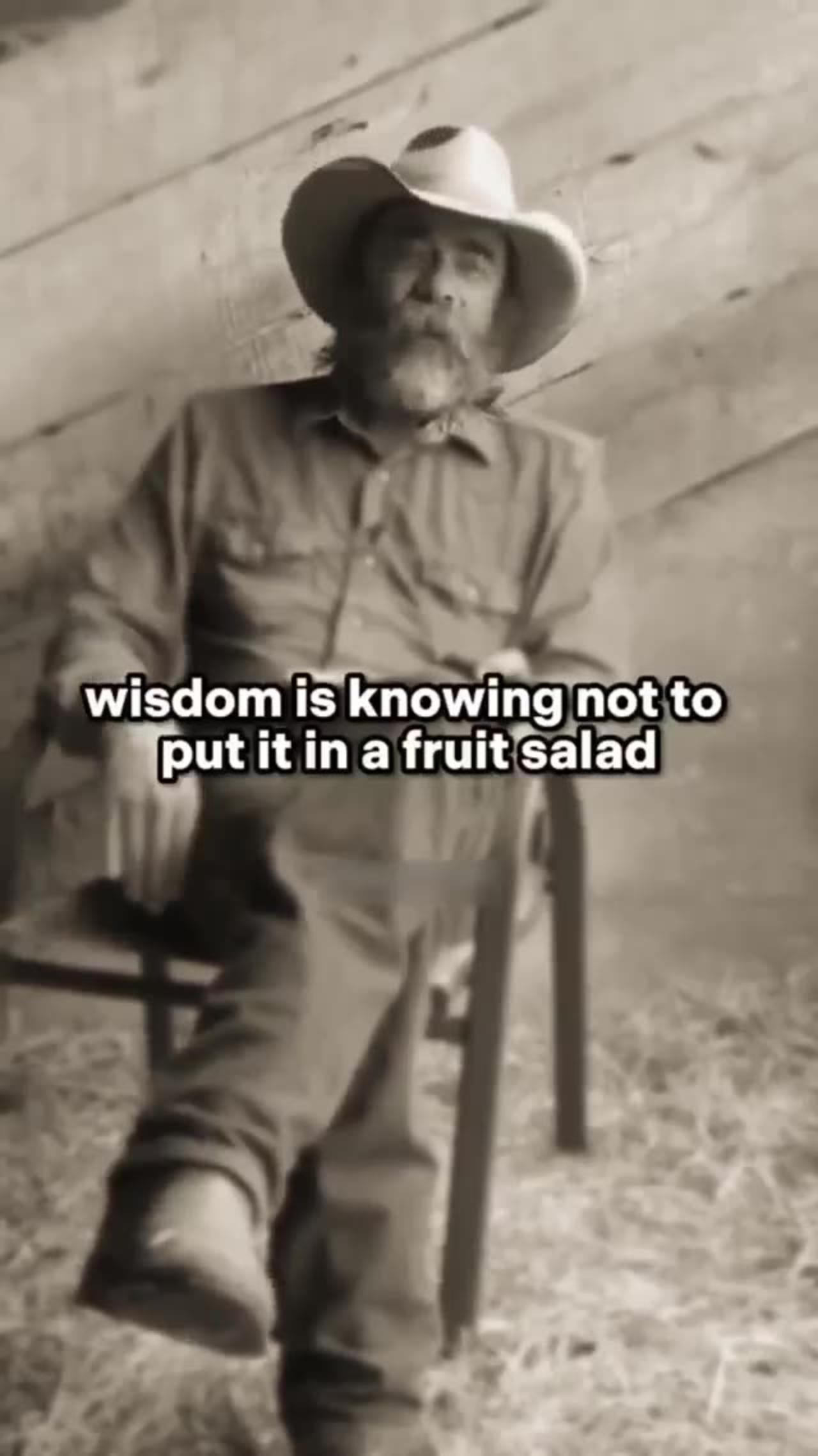 Knowledge Vs. Wisdom - One News Page VIDEO