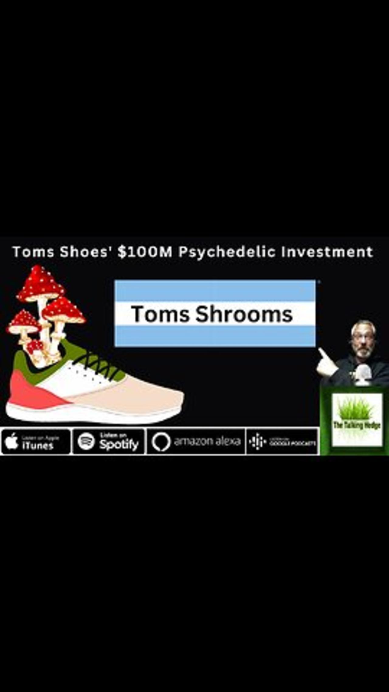 Toms Shoes Founder Donates $100M to Psychedelic Research
