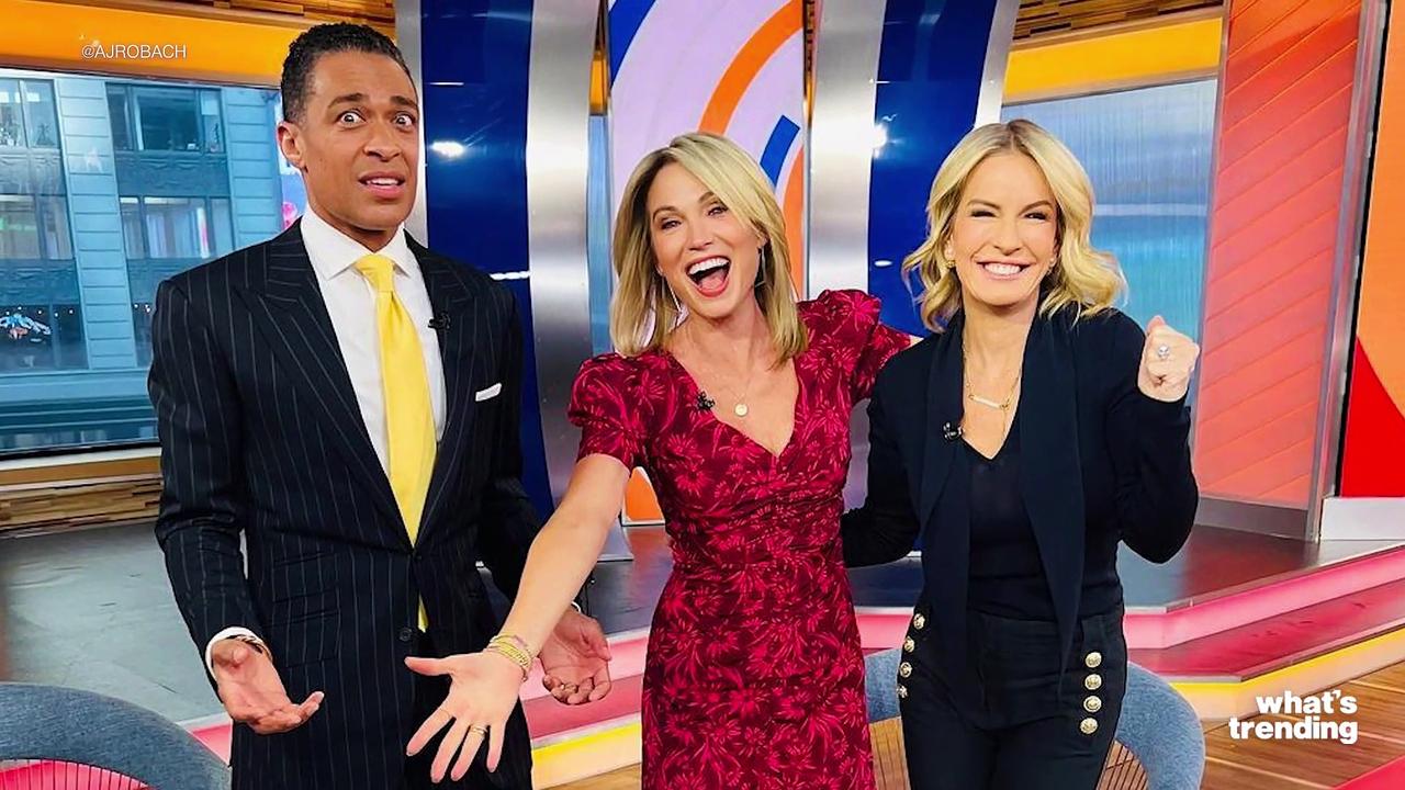 Amy Robach and TJ Holmes Prepare to Sue ABC After Scandalous Affair