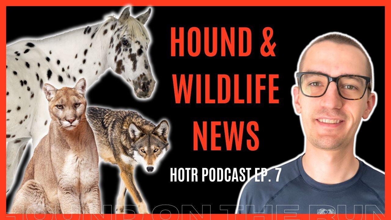 Do Wolves Eat Mountain Lion Kittens? | Ep. 7 HOTR Podcast