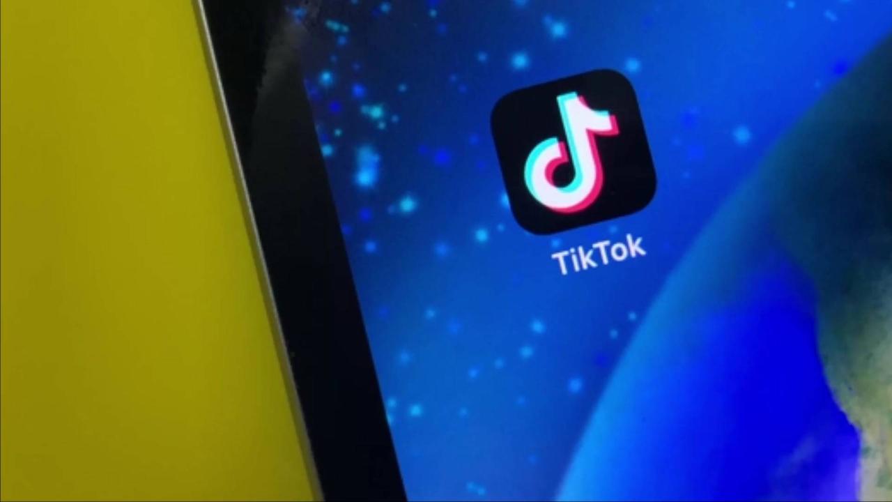 TikTok Reaches New Licensing Agreement With Warner Music