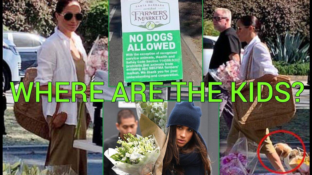 Attention Seeking Meghan Markle BREAKS California Rule #Montecito #Summer #MeghanMarkle