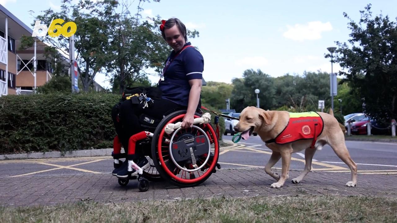 Wheelchair Using Nurse First in U.K. to Have Assistant Dog at Work