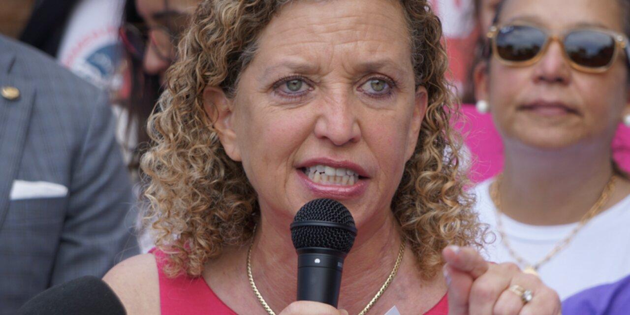Savage Fact-Check of Liar Election-Stealer Debbie Wasserman-Schultz Attack on RFK Jr.