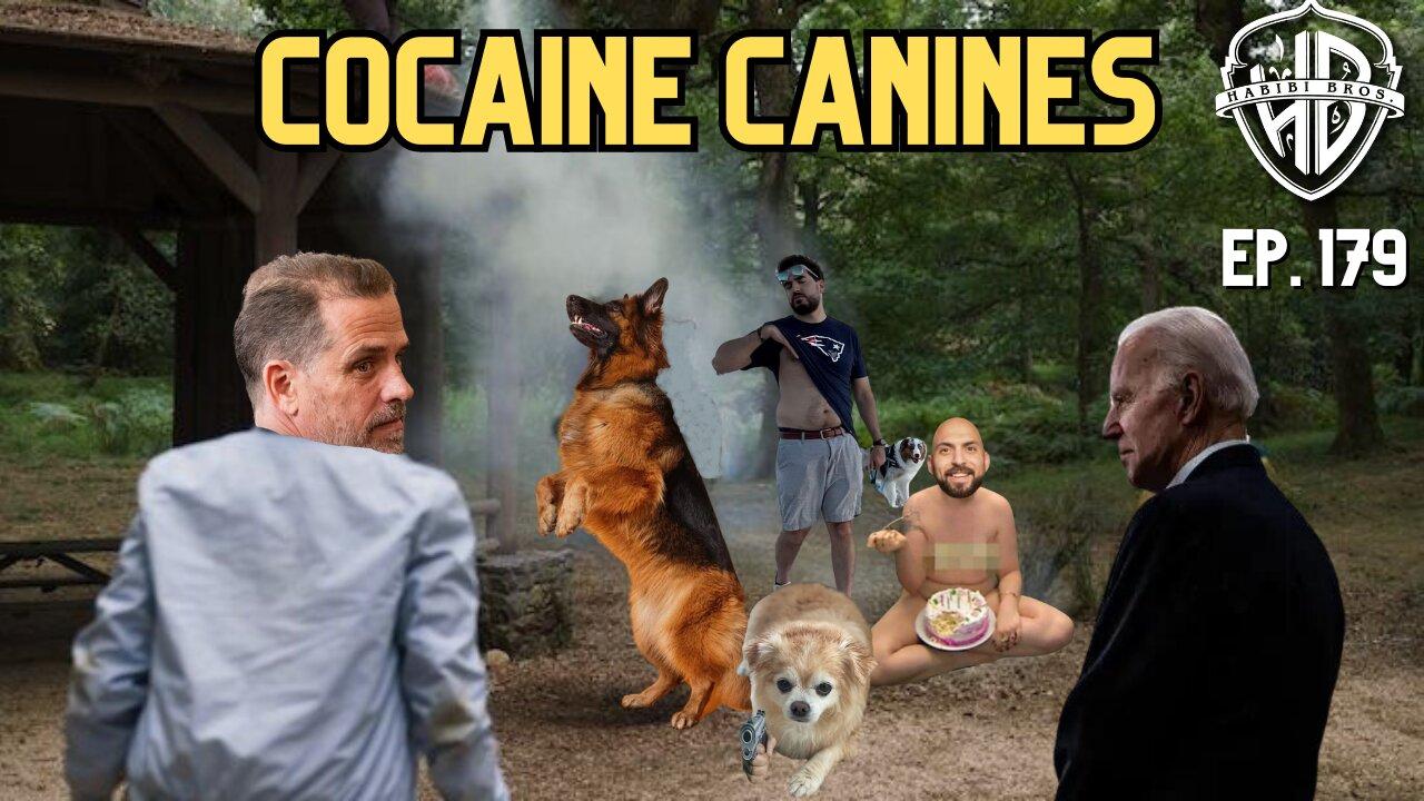Cocaine Canines | Habibi Power Hour #179