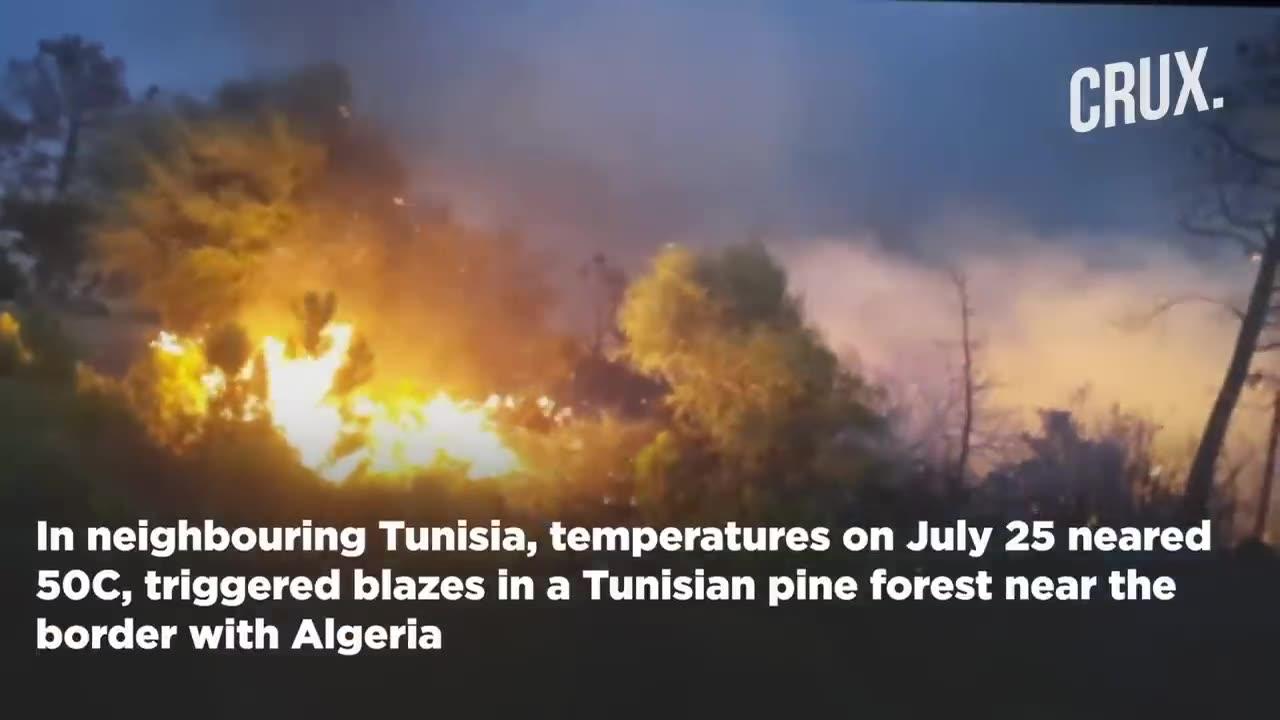 Blazes Trigger Climate Change Alarm, Over 30 Killed in Algeria, Wildfires Rage From Europe To Africa