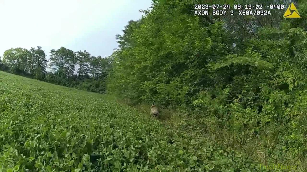 Columbus police body cam captures escaped emu being detained following chase
