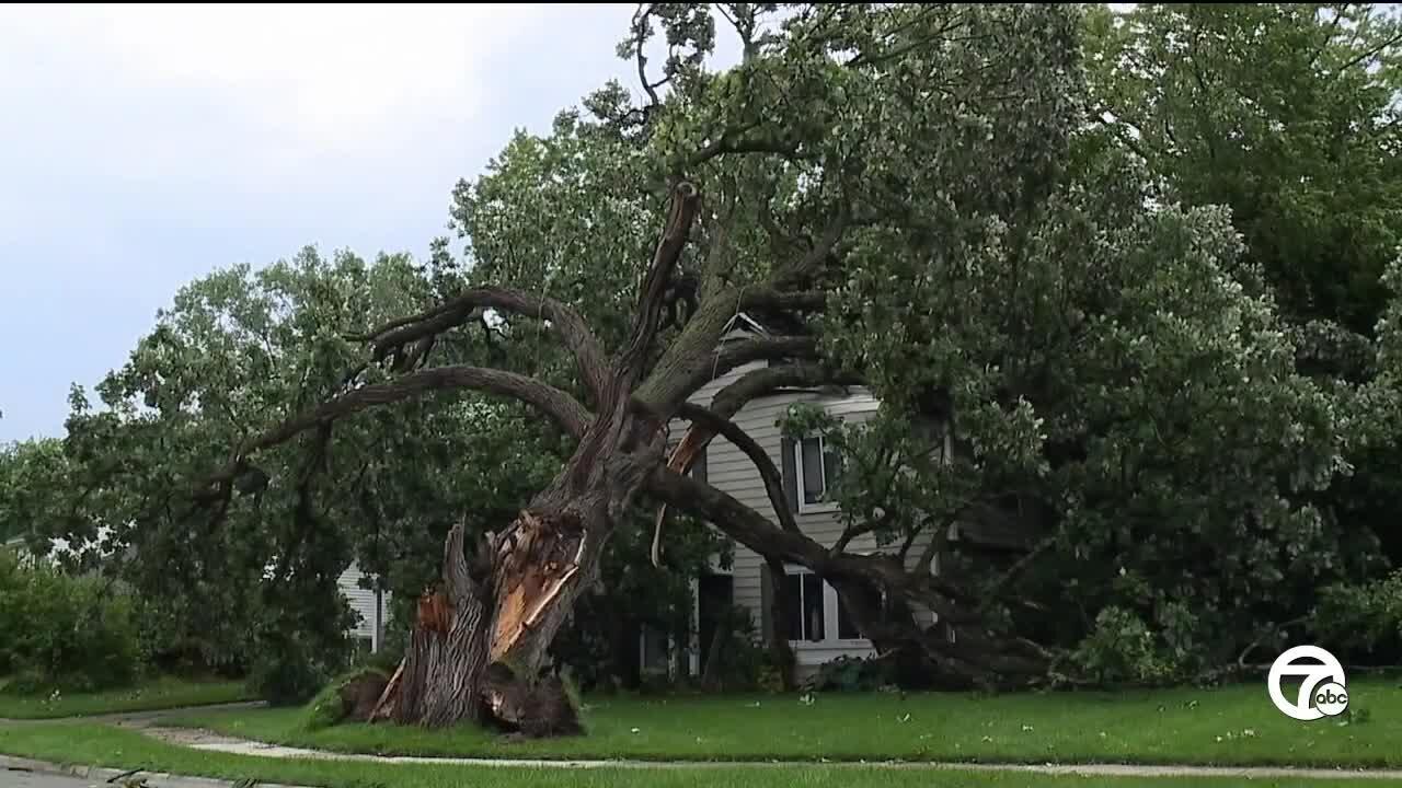 Storm brings down trees and power lines in Ann Arbor, causing damage