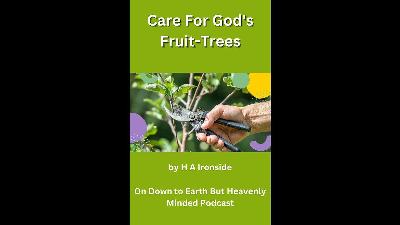 Care For God's Fruit-Trees by H A I, Chapter 6 Jottings On The Gospel Of John