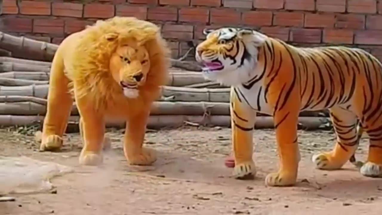 funny with animals