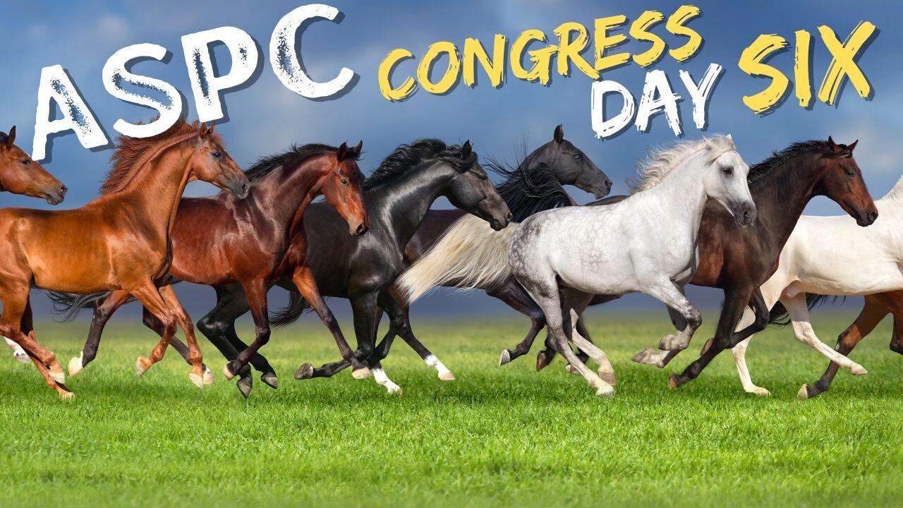 ASPC Congress Horse Show (July 29th) One News Page VIDEO