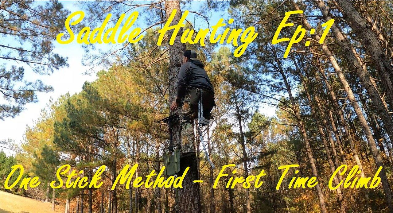 Saddle Hunting Ep1 One Stick Method First One News Page VIDEO
