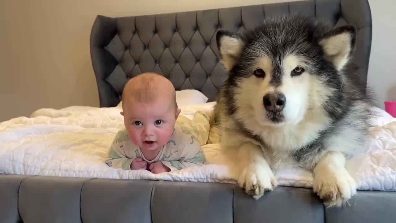 Adorable Baby Bond with Cute Dog