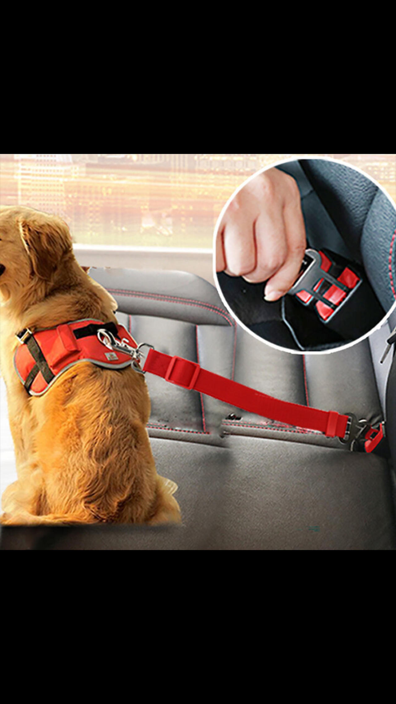 Safe Pet Travel Adjustable Dog Cat Car Seat One News Page VIDEO