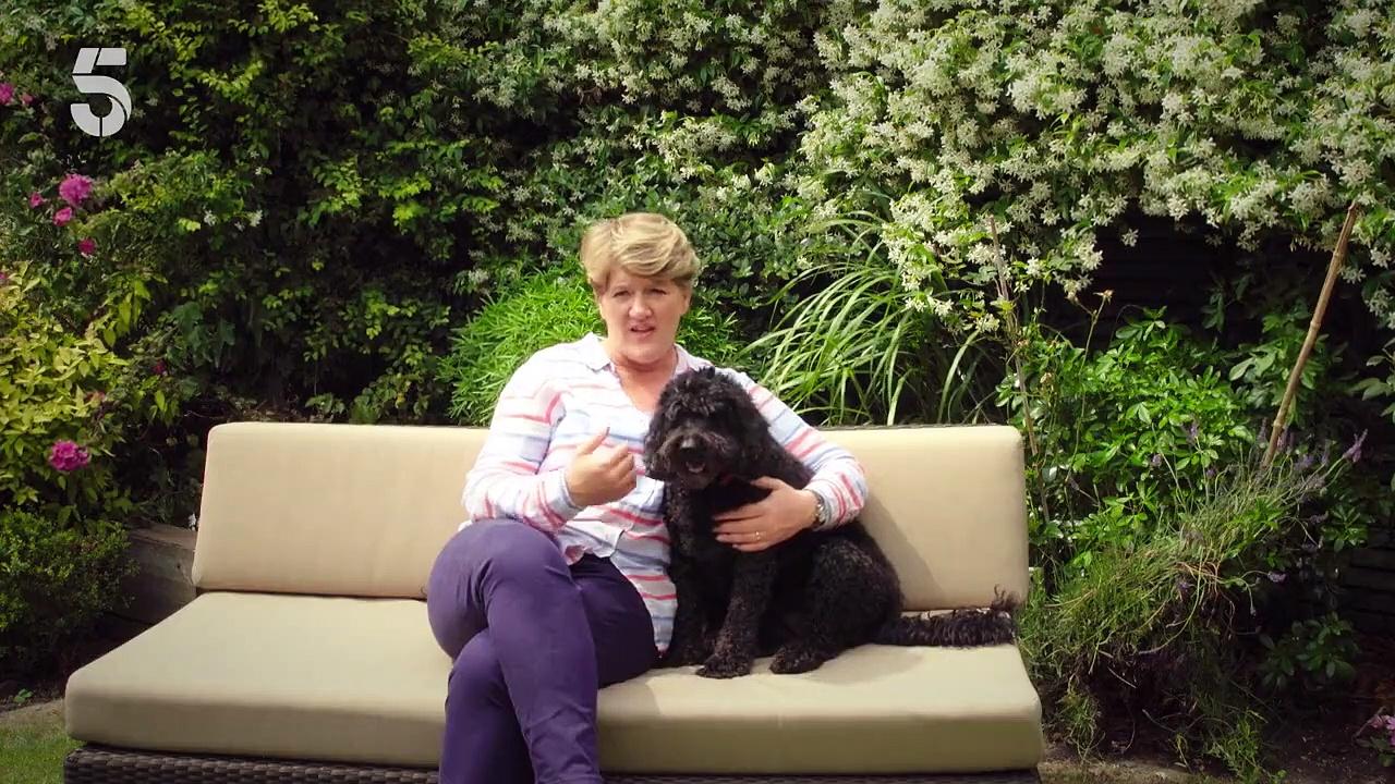 Lost Dogs with Clare Balding