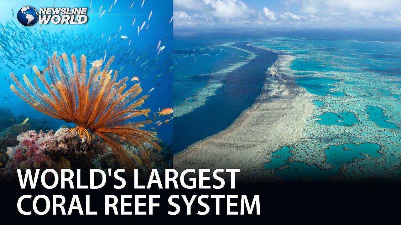 Australia welcomes UNESCO decision to remove Great Barrier Reef from ‘in danger’ list
