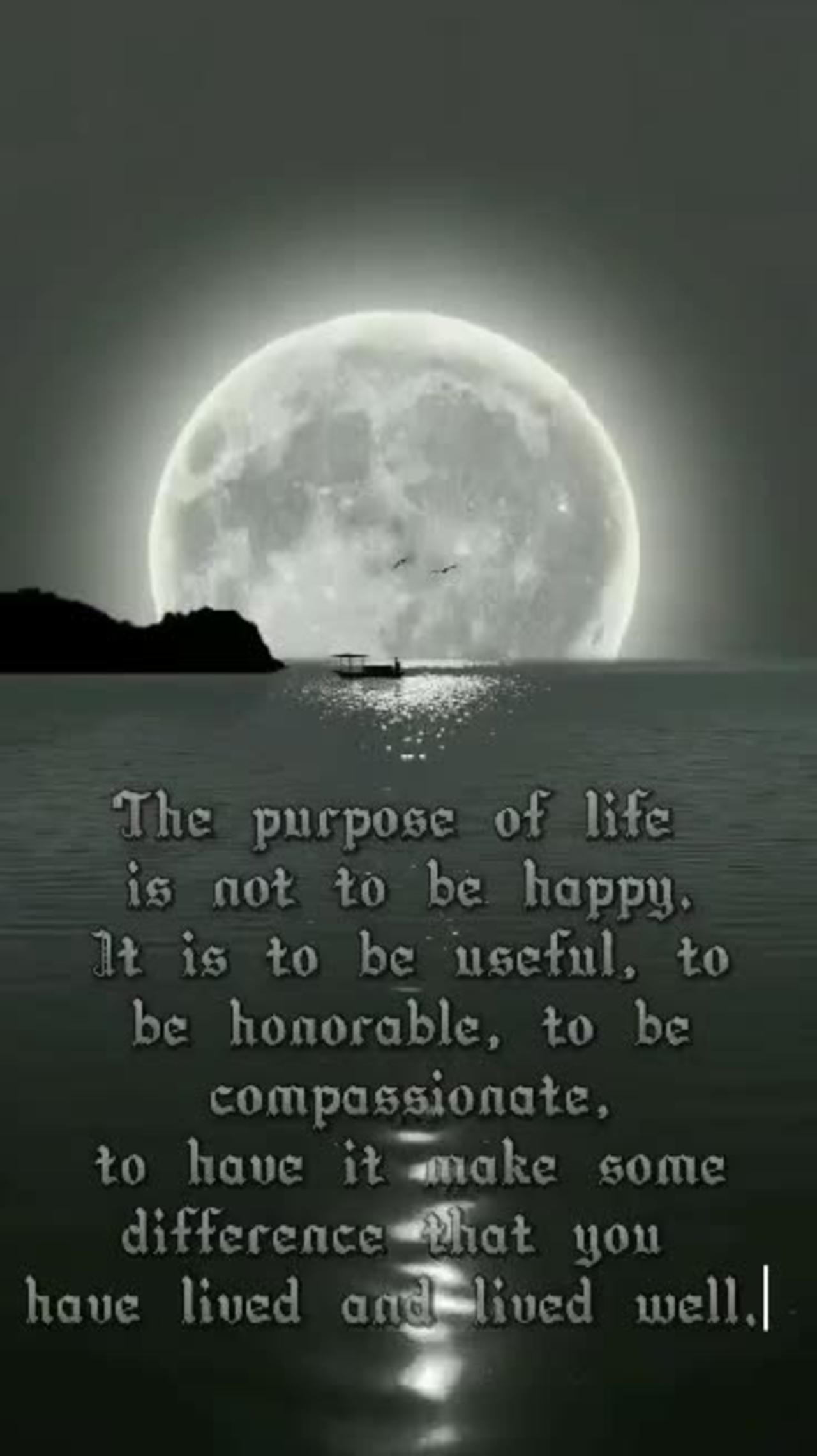 Living in the Present Mindful Life Quotes
