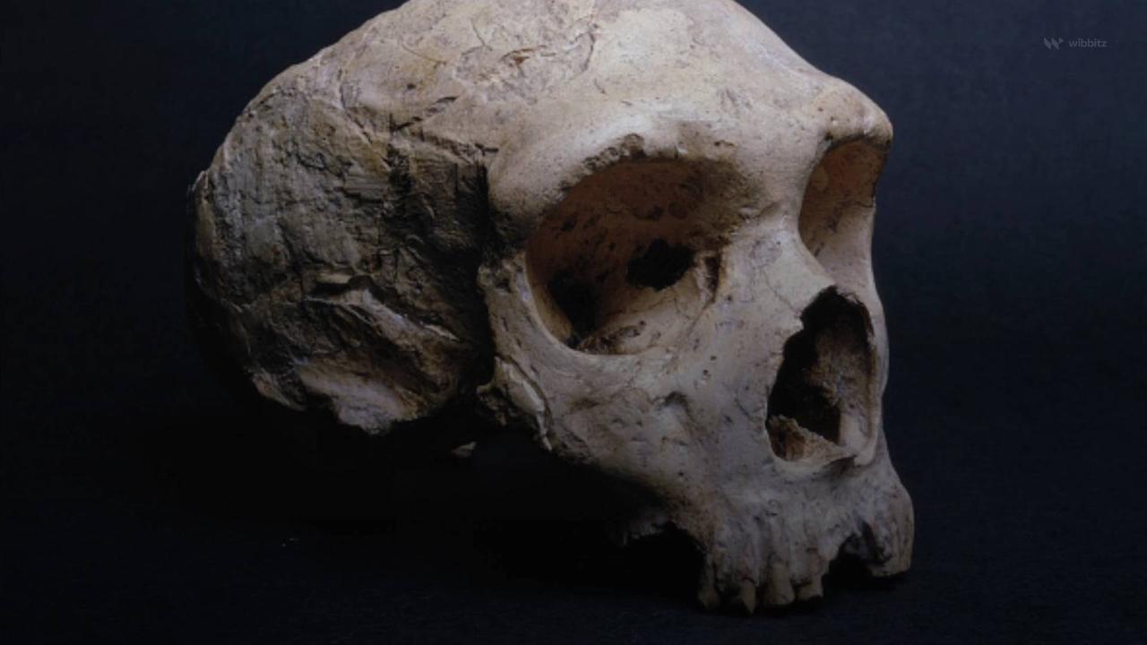 Scientists Use AI to Resurrect Neanderthal and Denisovan Molecules