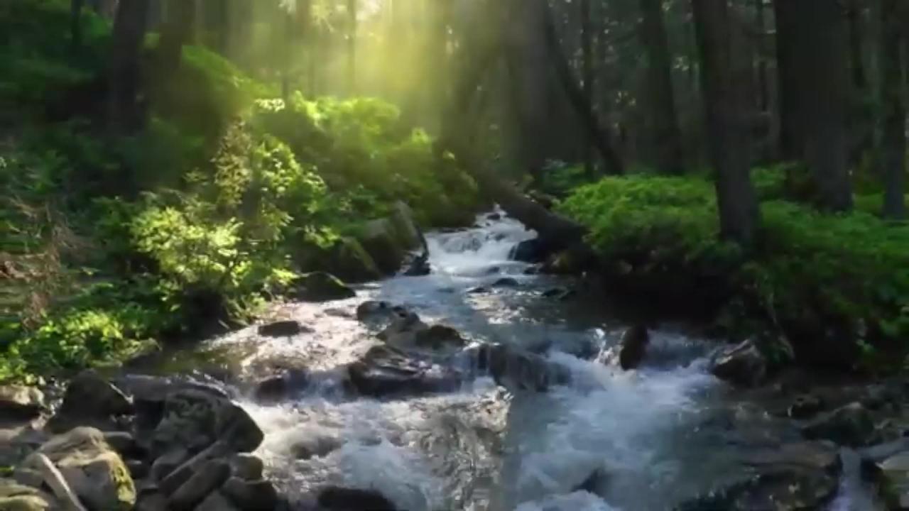 Stress relief music with water sounds and healing frequencies for the nervous system and soul