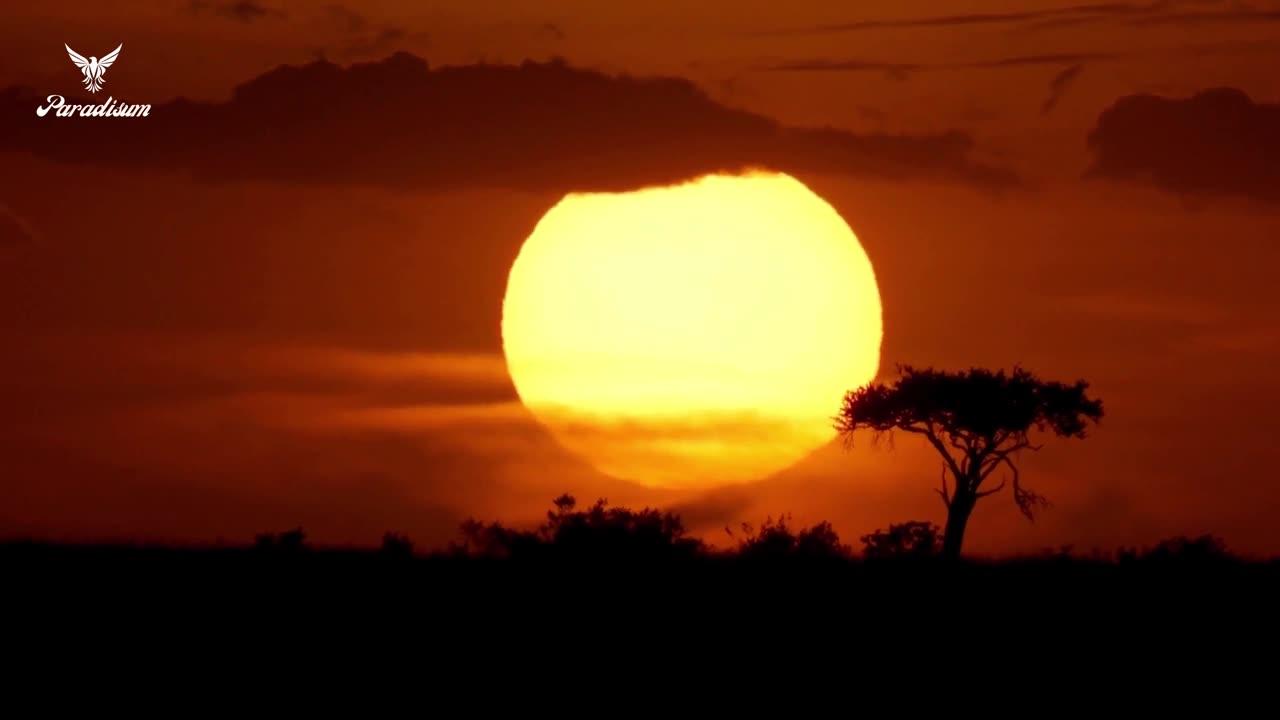 AFRICA Relaxing Film in 4k 60 fps & African Vocals  /  following  to Our Channel: Share this Video: