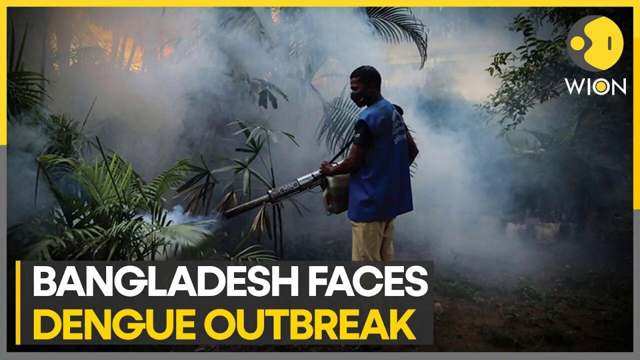 Bangladesh: Dhaka witnesses record death toll after dengue outbreak | Latest World News | WION