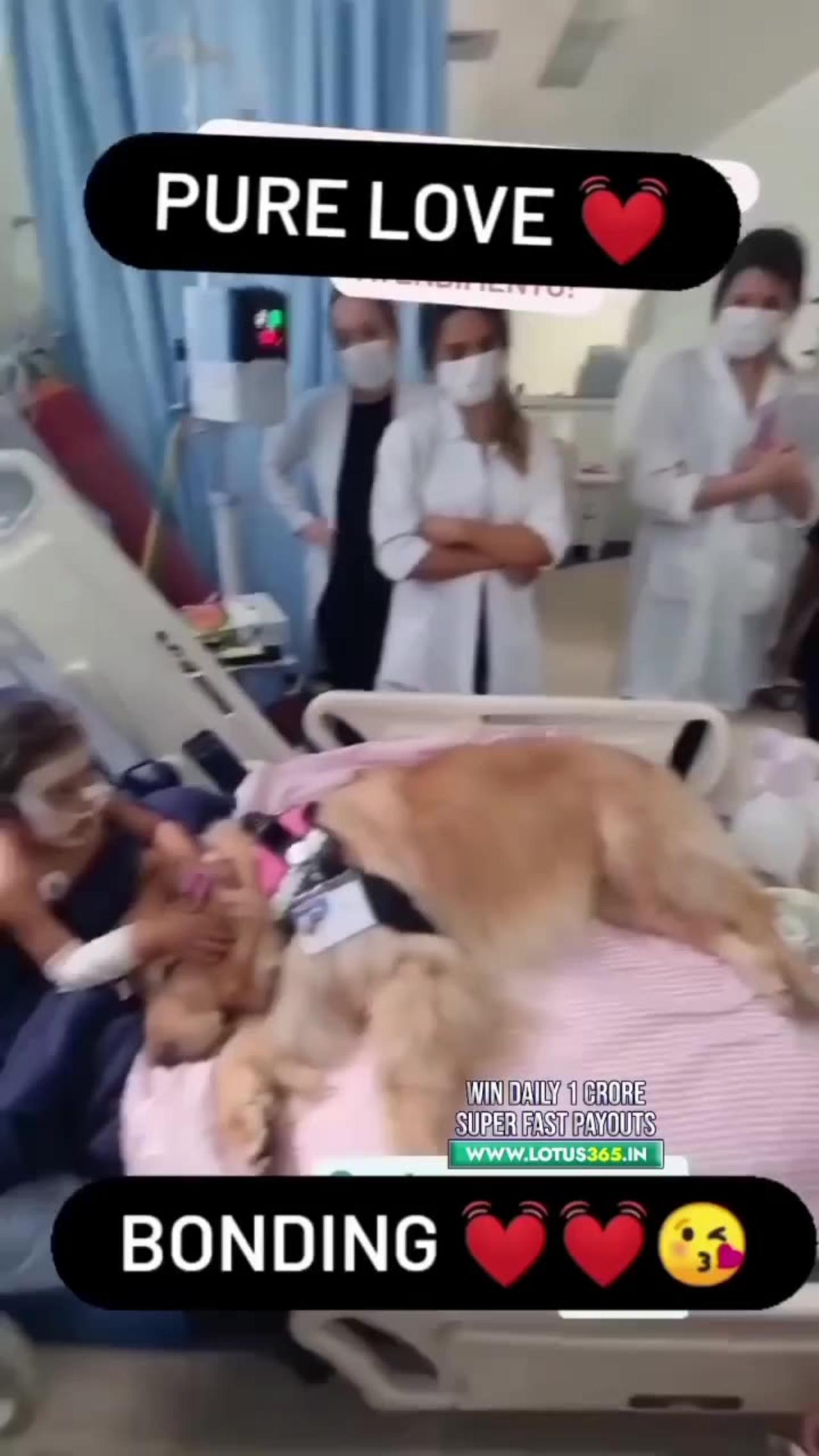 A Dog Heart Touching Baby ❤️‍🩹 , Baby and Dog Together in Hospital on a Bed 💔.