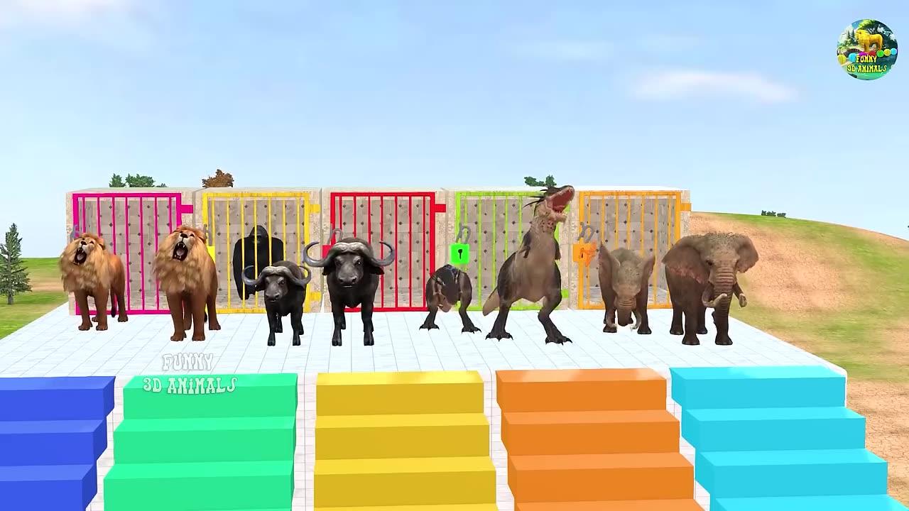 Paint Animals Gorilla Cow Tiger Lion Elephant Fountain Crossing Animal funny  😂 Game