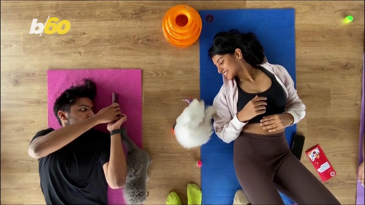 Kitten Yoga is the Promotes Relaxation And Adoption