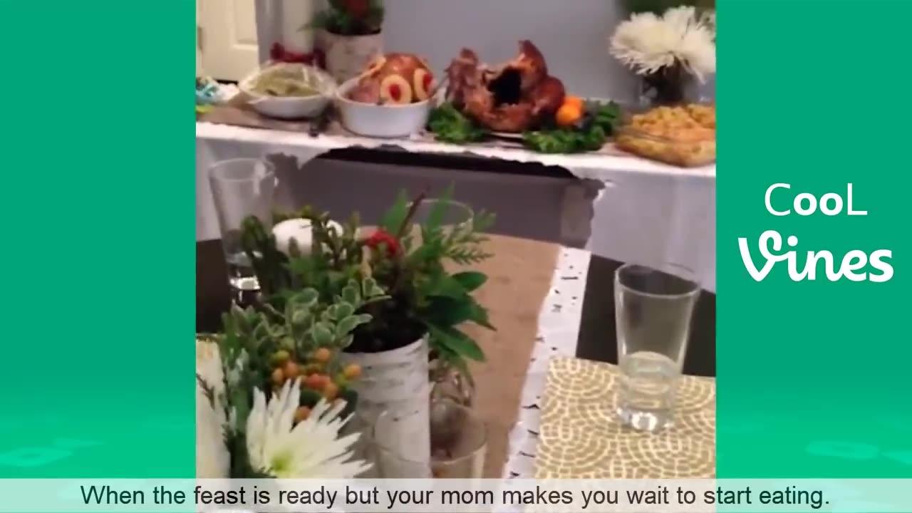 Try Not To Laugh Challenge Funny Cat Dog One News Page Video