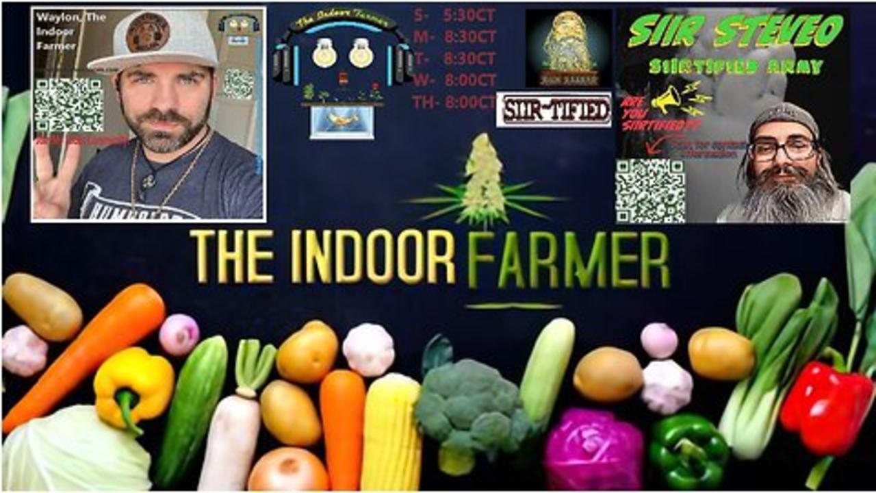 The Indoor farmer Reviews #40! Keefy Cannafest 2023 Peoria Illinois!