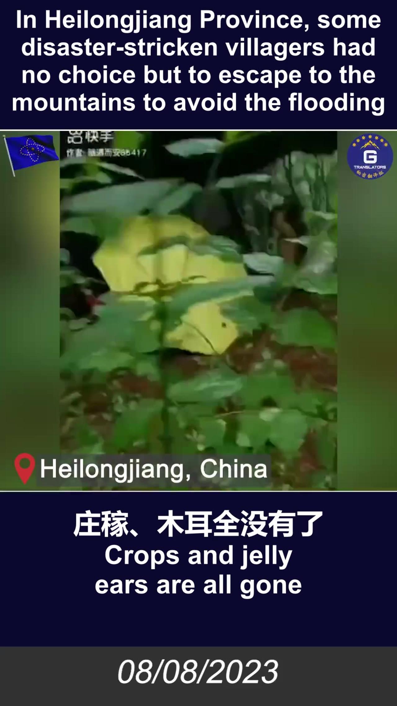 Some disaster-stricken villagers in Heilongjiang had to escape to the mountains to avoid the floods
