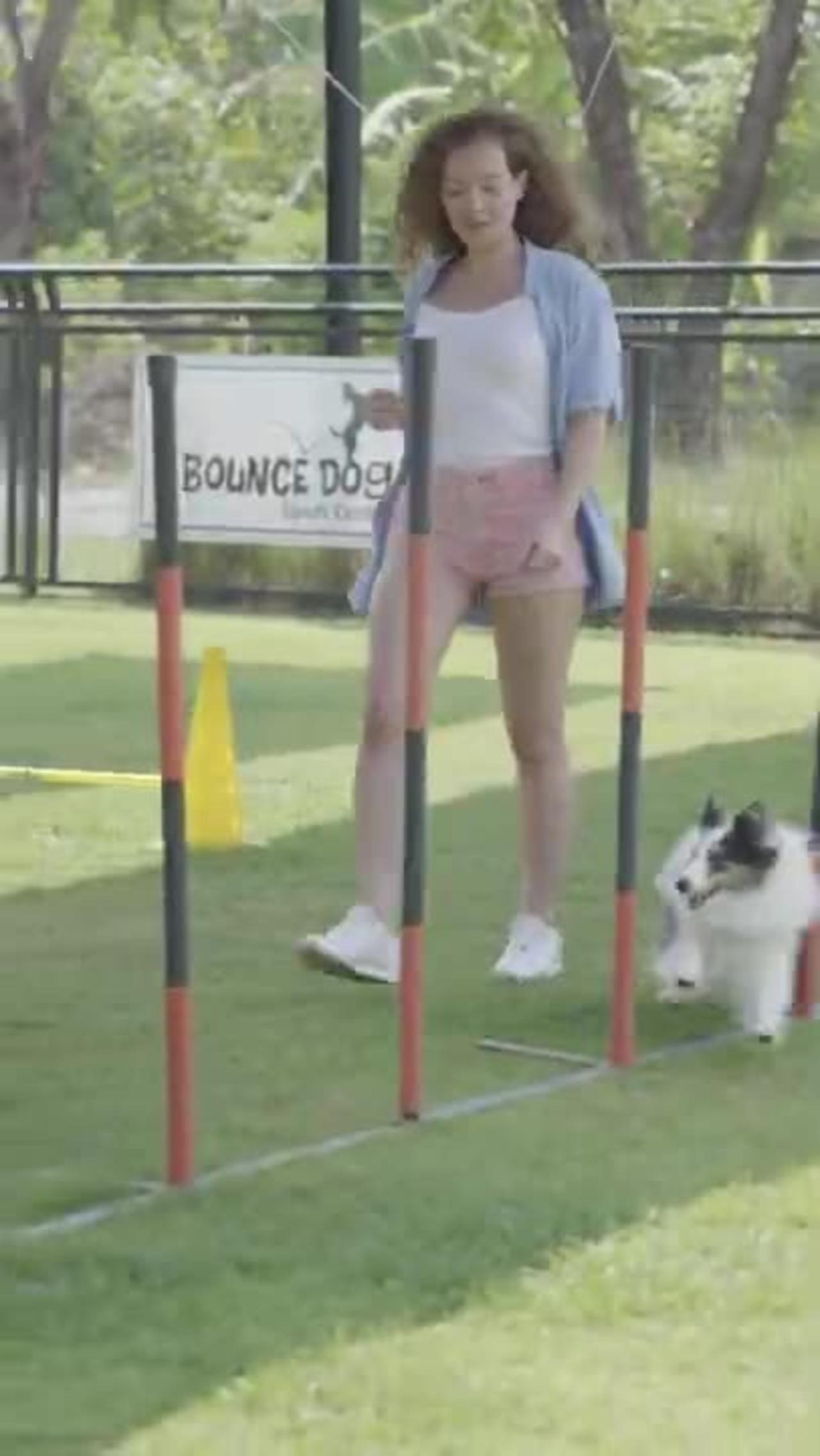 Woman teaching a dog new short video ! dog training ! funny dog videos 2023 clean ! #shorts