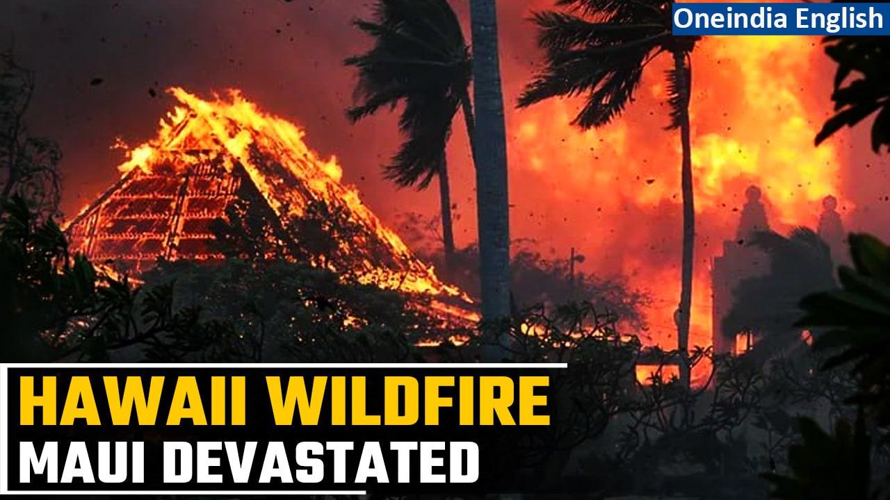 Hawaii Wildfires Burn Maui to the Ground | Over 50 casualties, thousands of homes burnt | Oneindia