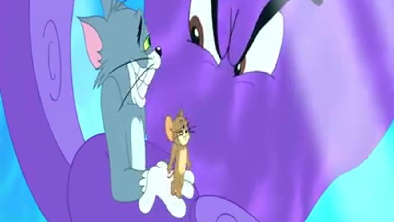 Tom And Jerry | Funny | Tom | Jerry | Loughing